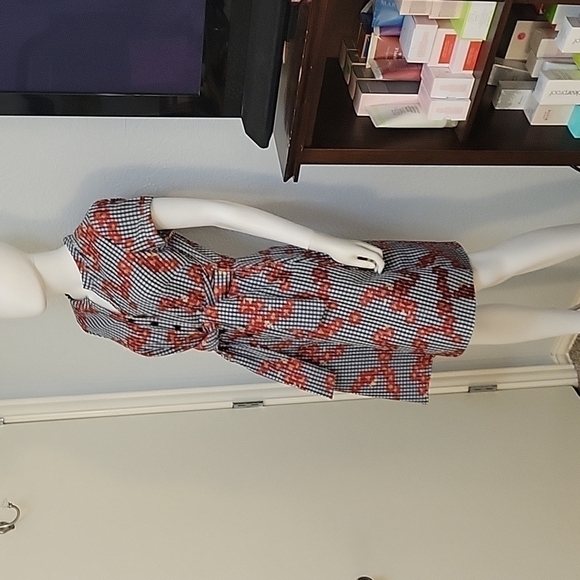 ADRIANNA PAPELL Retro Rockabilly Gingham Floral Button Tie Waist Shirt Dress - Picture 4 of 10